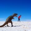 Gruppenreisen für Alleinreisende I Anden Ablauf lustige Fotos in der größten Salzwüste der Welt