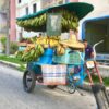 Fahrrad mit Bananen und anderen Früchten in Santiago de Cuba auf Kuba - Gruppenreisen für Alleinreisende & Erlebnisreisen | QUERIDO MUNDO