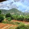 Kegelhügel Landschaft (Mogotes) im Viñales Tal auf Kuba - Gruppenreisen für Alleinreisende & Erlebnisreisen | QUERIDO MUNDO